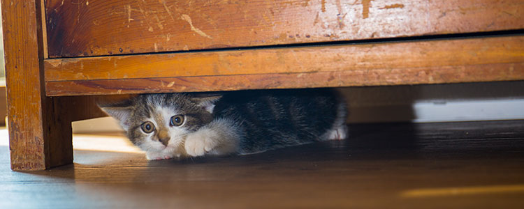 Comment réparer une commode ?