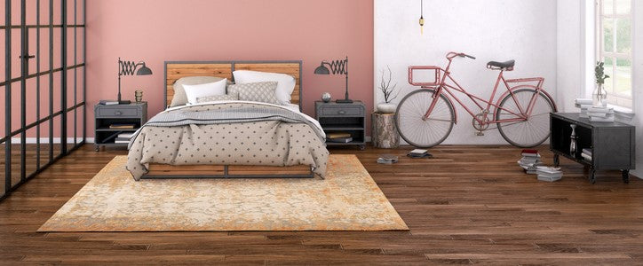 J'ai des insectes dans ma chambre, qu'est-ce que c'est ?