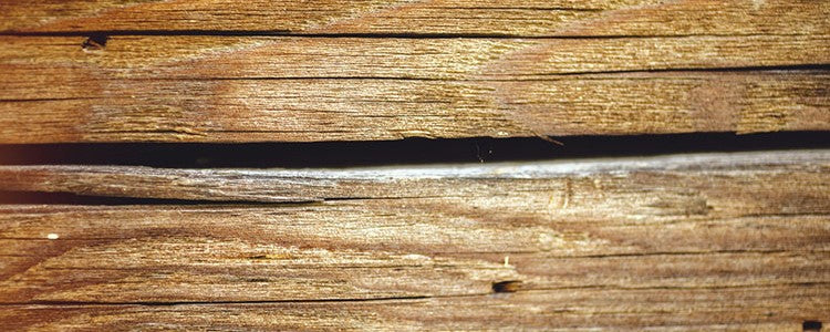 Comment reboucher une fissure dans le bois ?