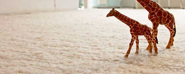 Moquette : comment la raviver ?