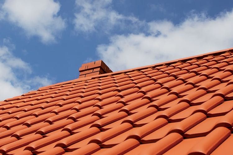 Comment se débarrasser des dépôts verts sur un mur, une toiture ou une terrasse ?