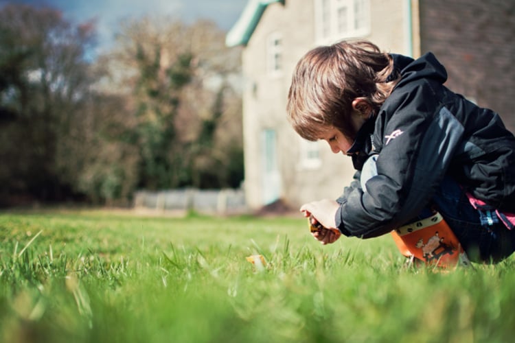 Comment traiter et entretenir sa fosse septique ?