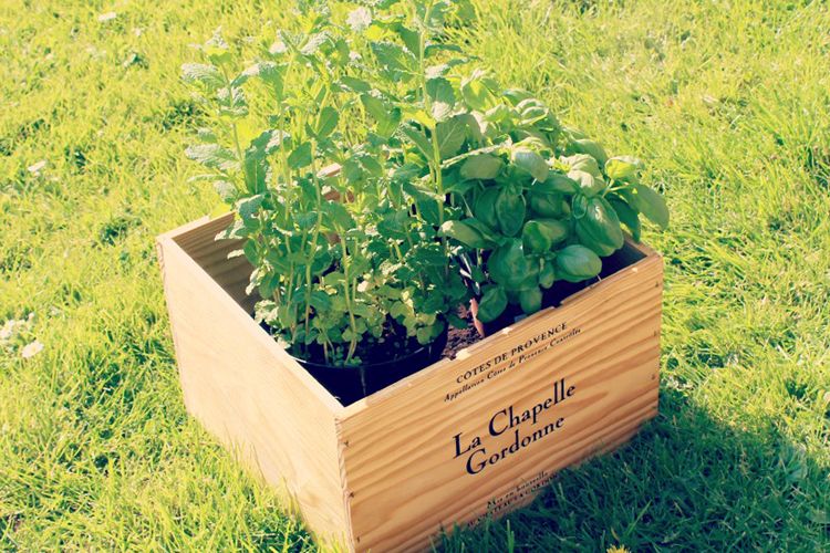 Réalisez une jardinière avec Starwax