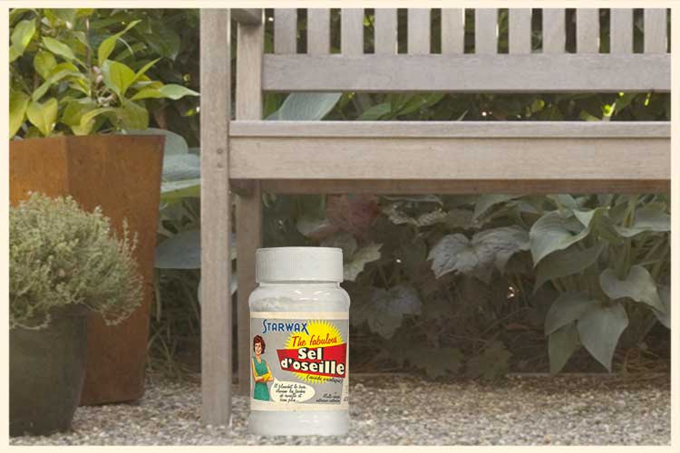 5 bonnes raisons de recourir au Sel d’oseille !