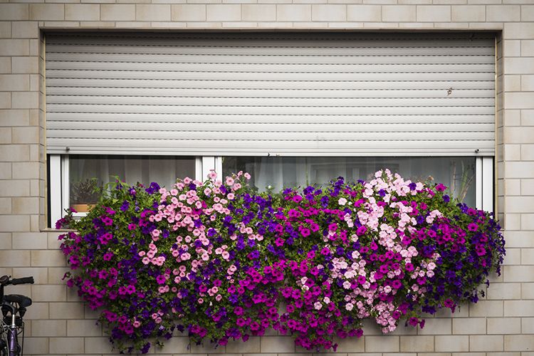 Volets roulants : comment les nettoyer ?