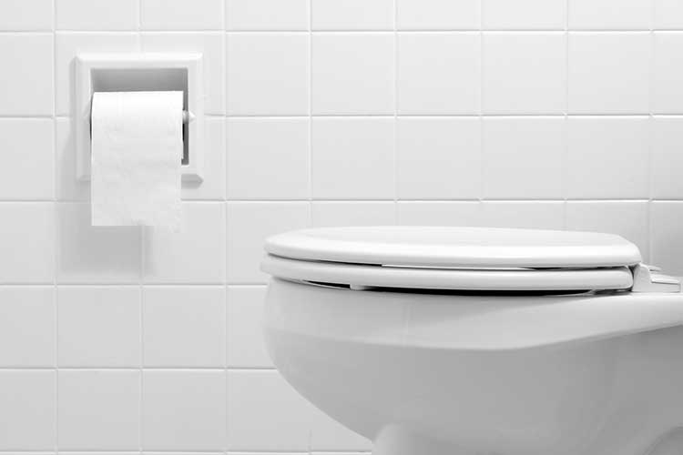 Quel produit utiliser pour nettoyer des WC avec fosse septique ?