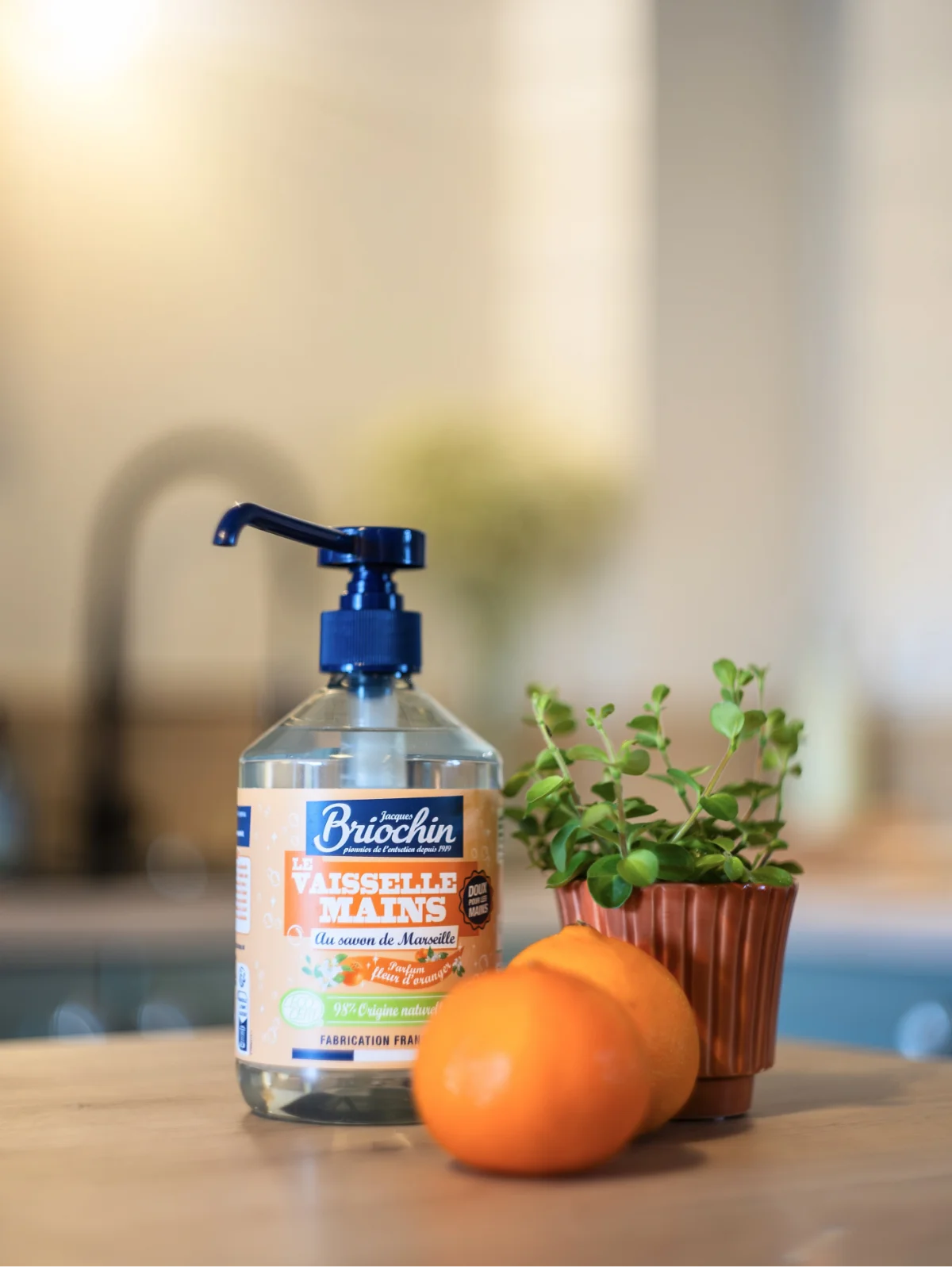 Marque Briochin - Pionnier de l'entretien depuis 1919 : Savon noirs, Lessive,..