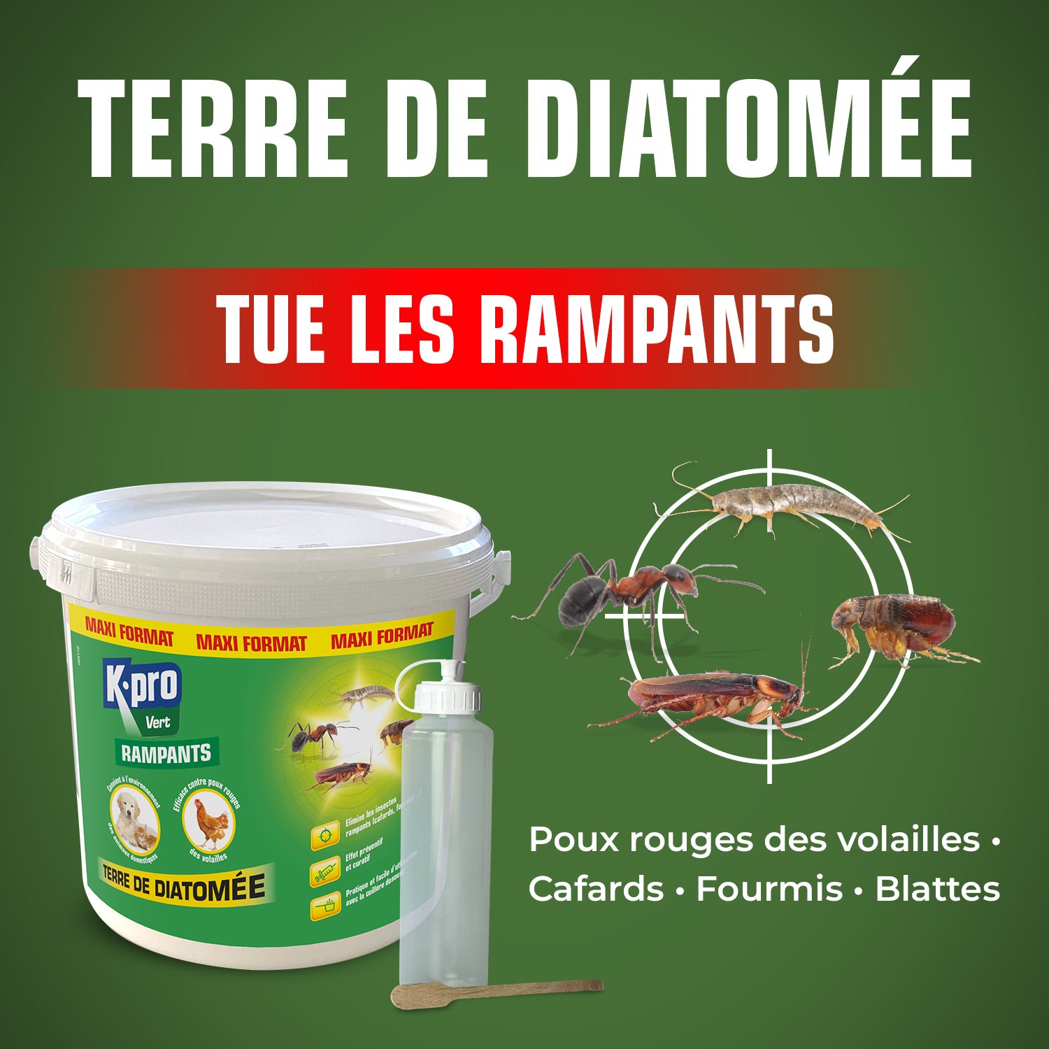 K.PRO - Terre de Diatomée Punaises de Lit avec flacon applicateur 1kg Maxi format