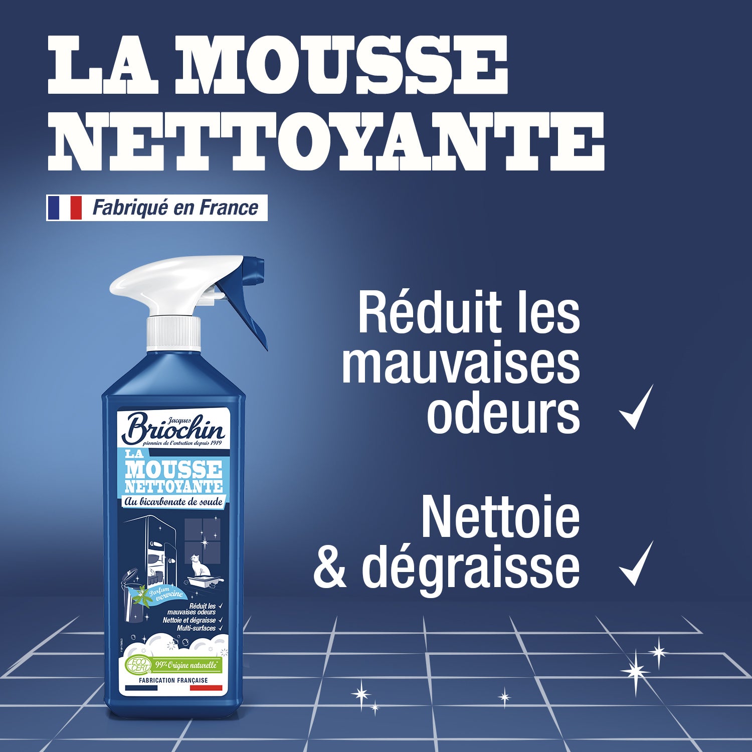 JACQUES BRIOCHIN - Mousse nettoyante au Bicarbonate de Soude - Parfum verveine 750ml Verveine