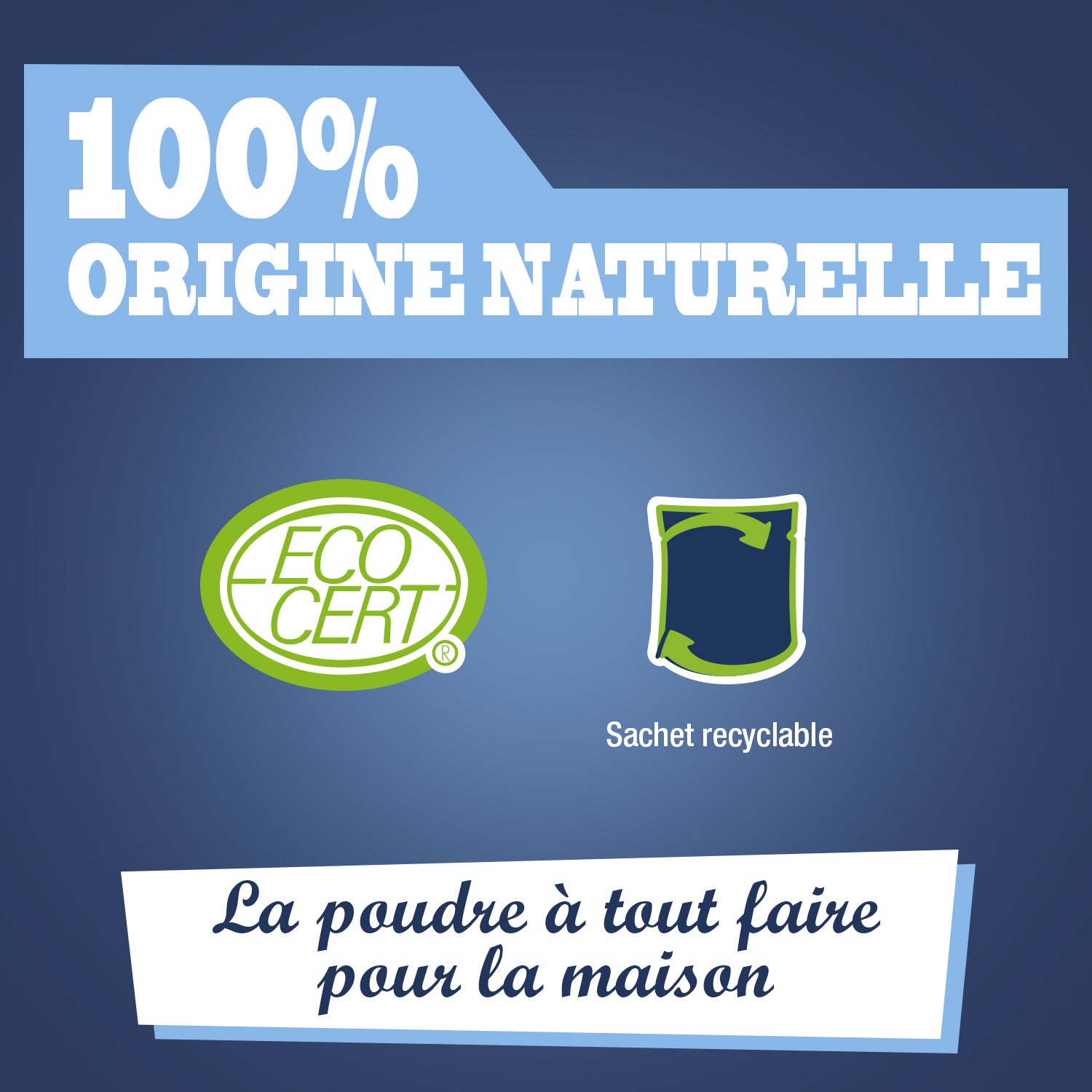 JACQUES BRIOCHIN - Le Bicarbonate de soude grand format - 900g 900g