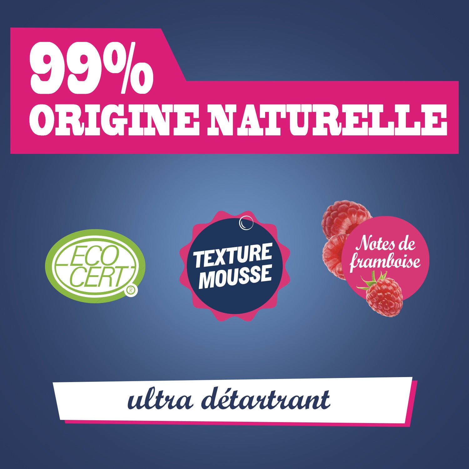 JACQUES BRIOCHIN - Mousse détartrante au vinaigre et à l'acide citrique 750ml Framboise