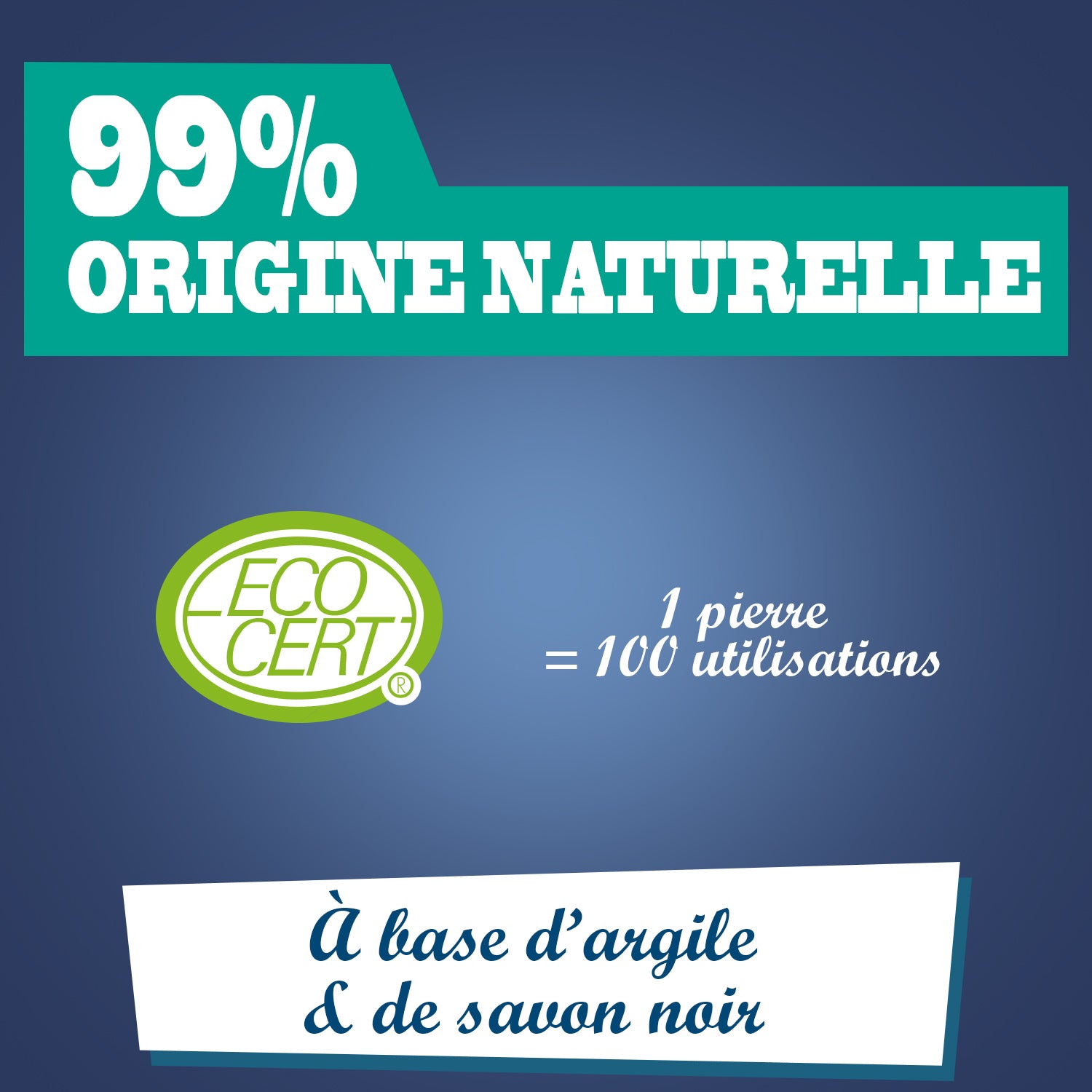 JACQUES BRIOCHIN - Pierre du droguiste 300g Menthe