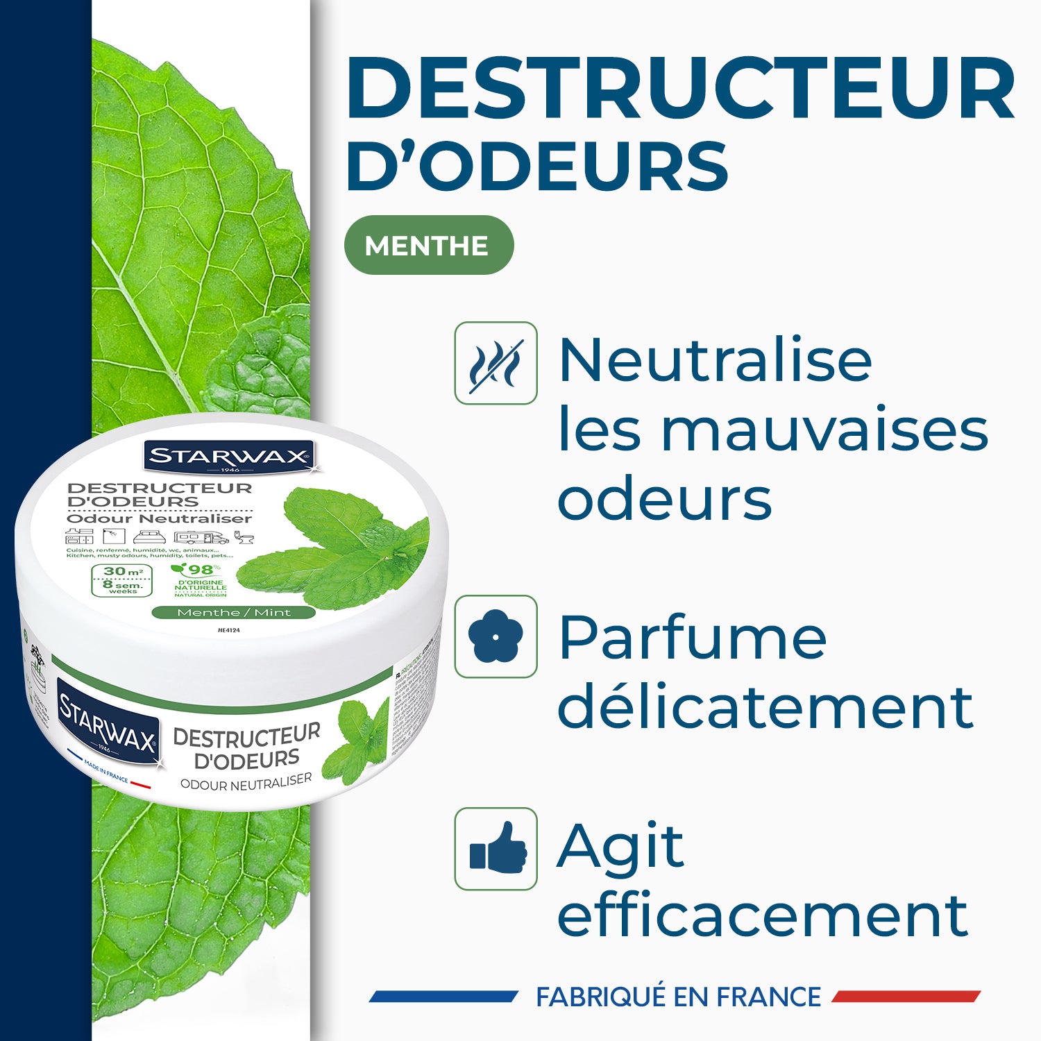 STARWAX - Destructeur d'odeurs Menthe 300g Parfum Menthe