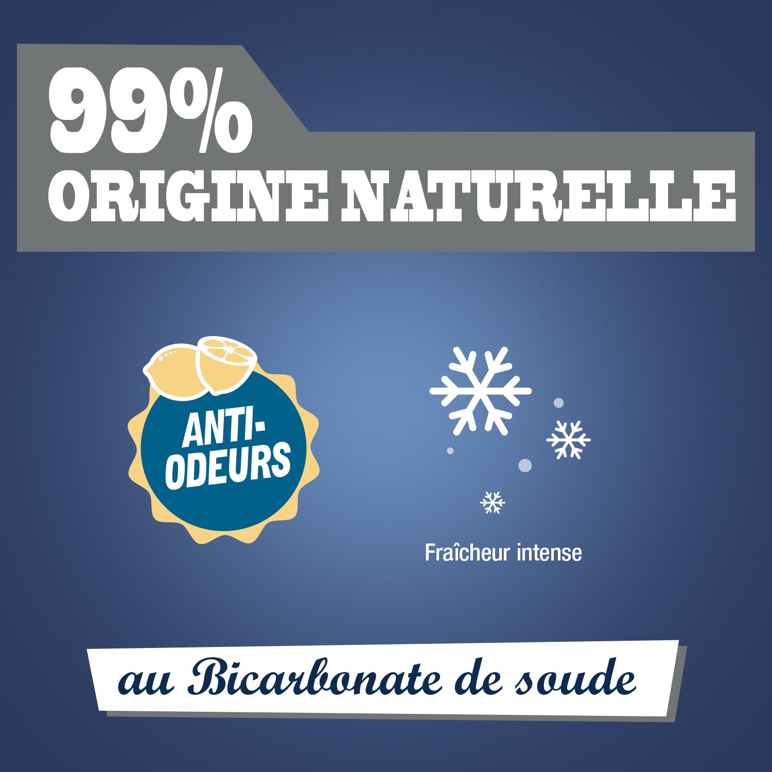 JACQUES BRIOCHIN - Désodorisant chaussures au bicarbonate 200ml Parfum citron