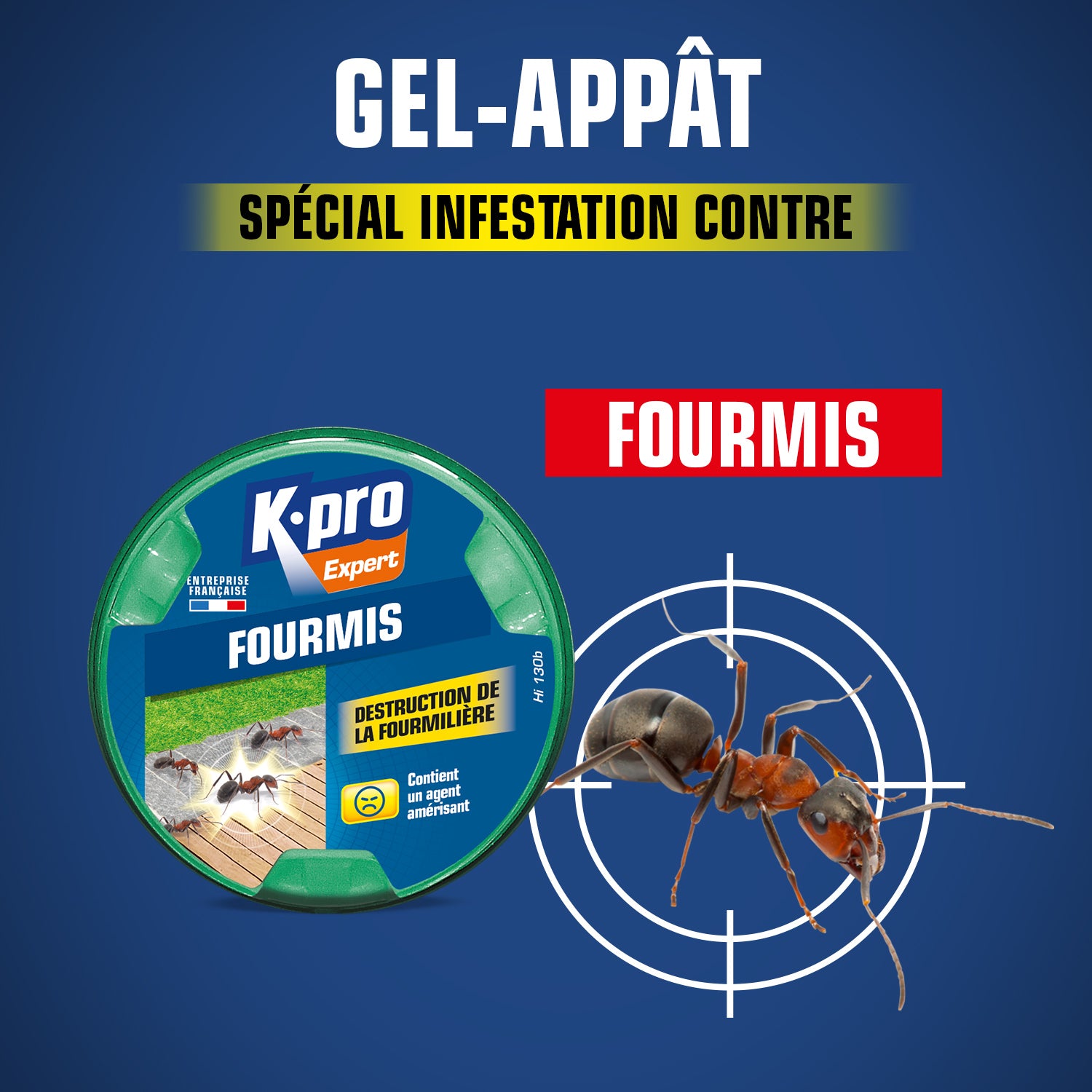 K.PRO - Boite fourmis X1
