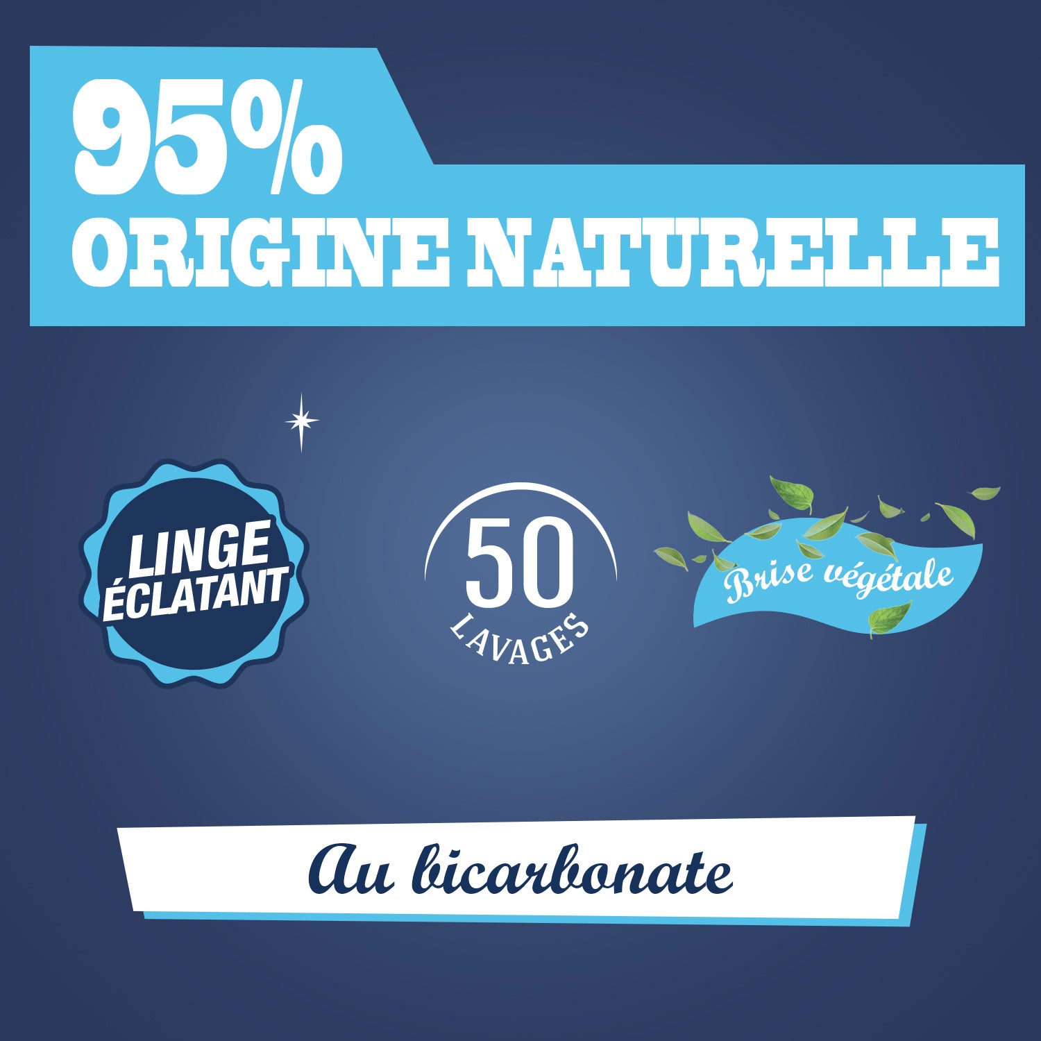 JACQUES BRIOCHIN - Ma lessive au bicarbonate - Brise végétale 2,27l Brise Végétale