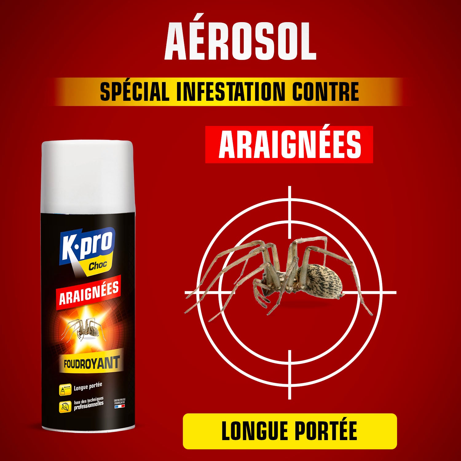 K.PRO - Aérosol foudroyant araignées
400ml