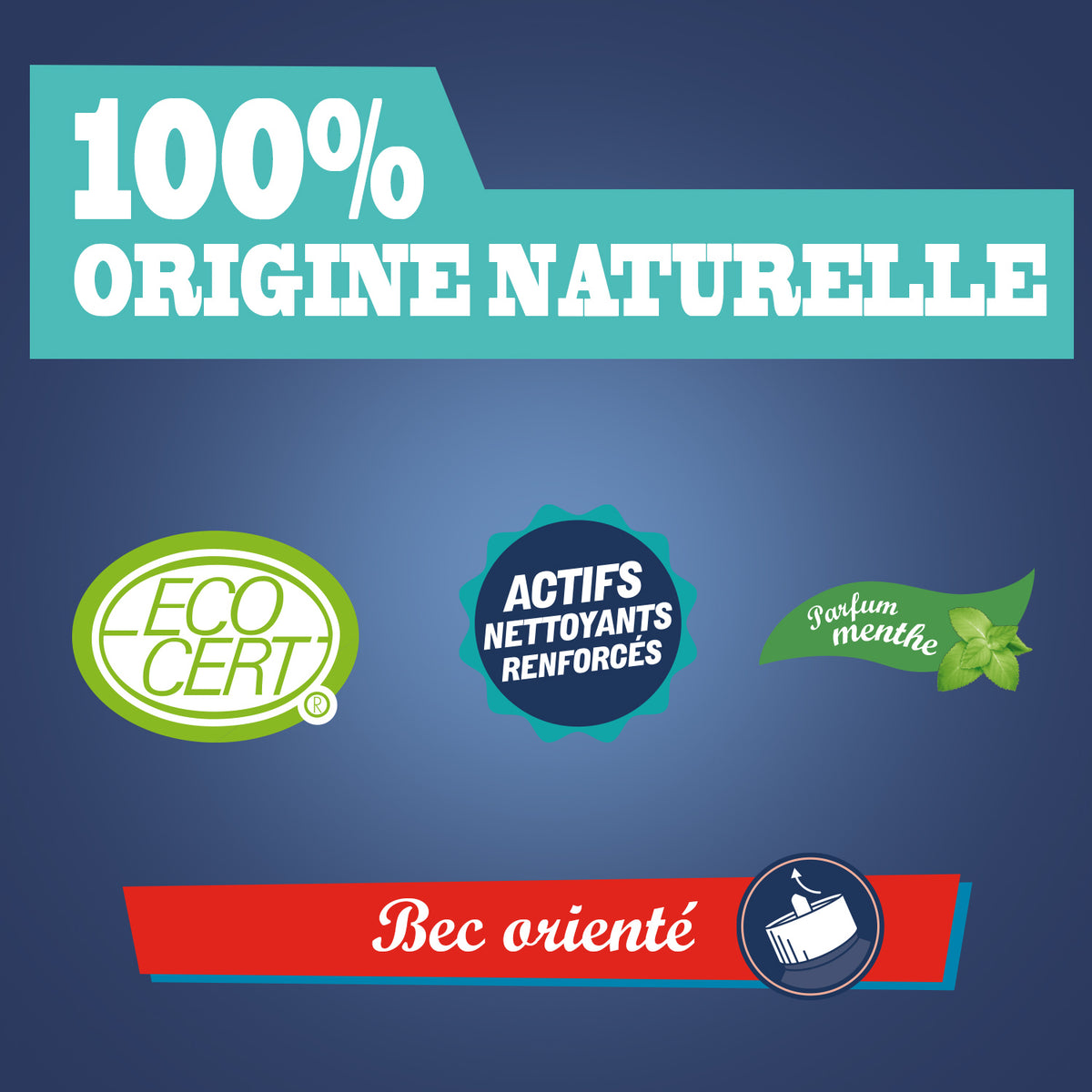 Lot de 6 Gel WC au vinaigre de ménage