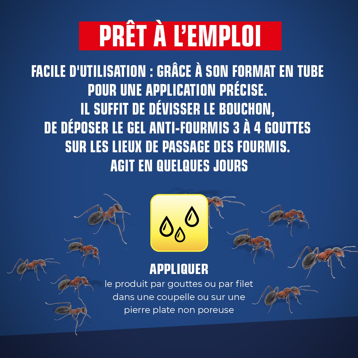 K.PRO - Tube fourmis 15g