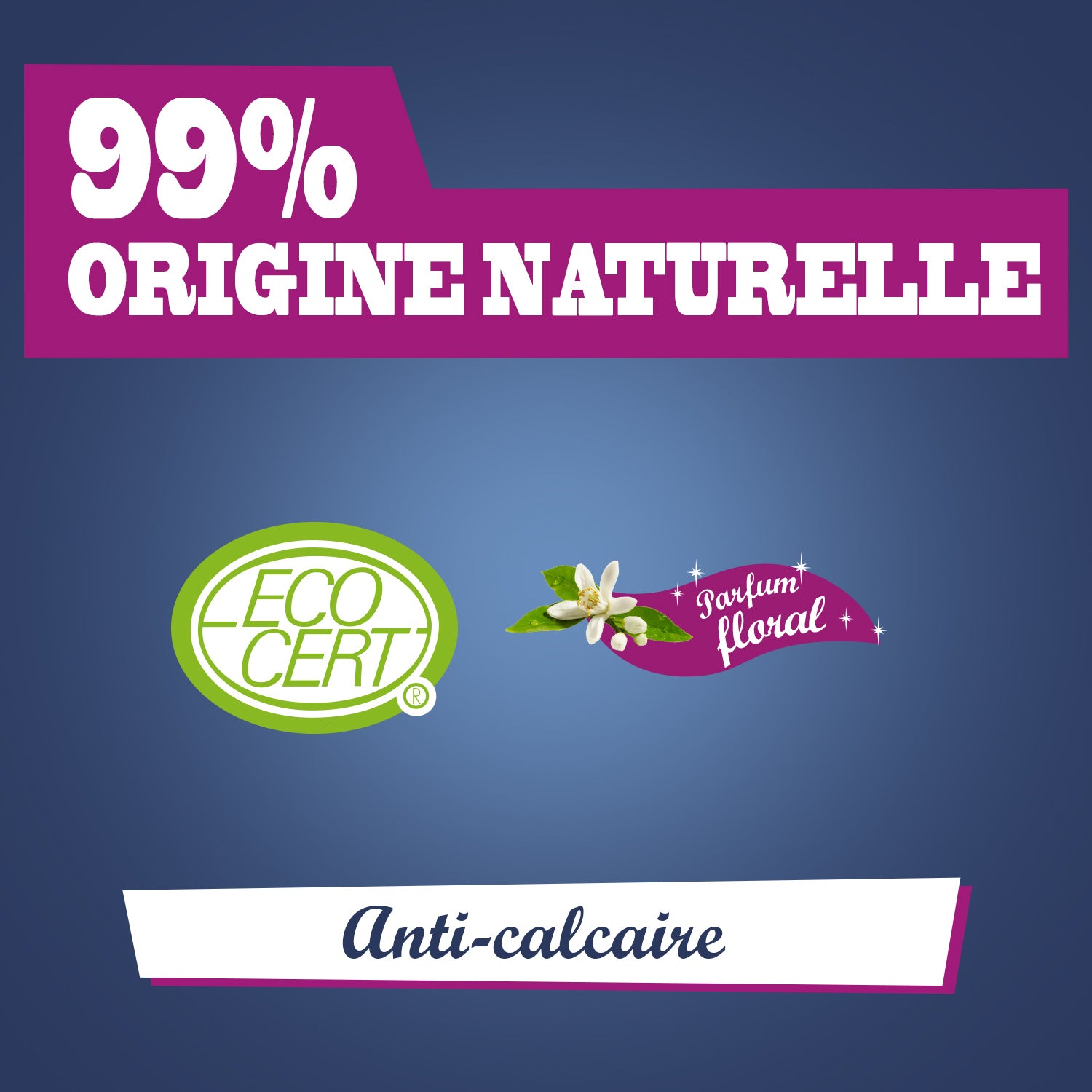 JACQUES BRIOCHIN - Nettoyant salle de bain 3 en 1 parfum floral 750ml Parfum floral