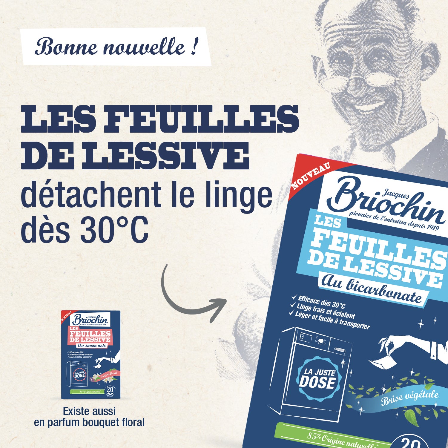JACQUES BRIOCHIN - Feuilles de lessive au Bicarbonate parfum Brise végétale 20 feuilles Parfum Brise végétale
