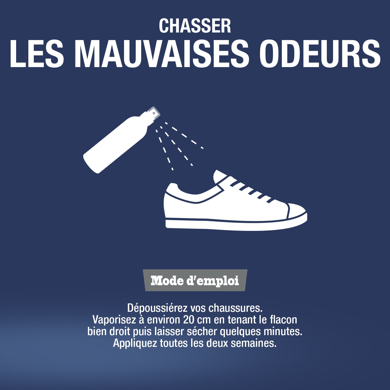 JACQUES BRIOCHIN - Désodorisant chaussures au bicarbonate 200ml Parfum citron