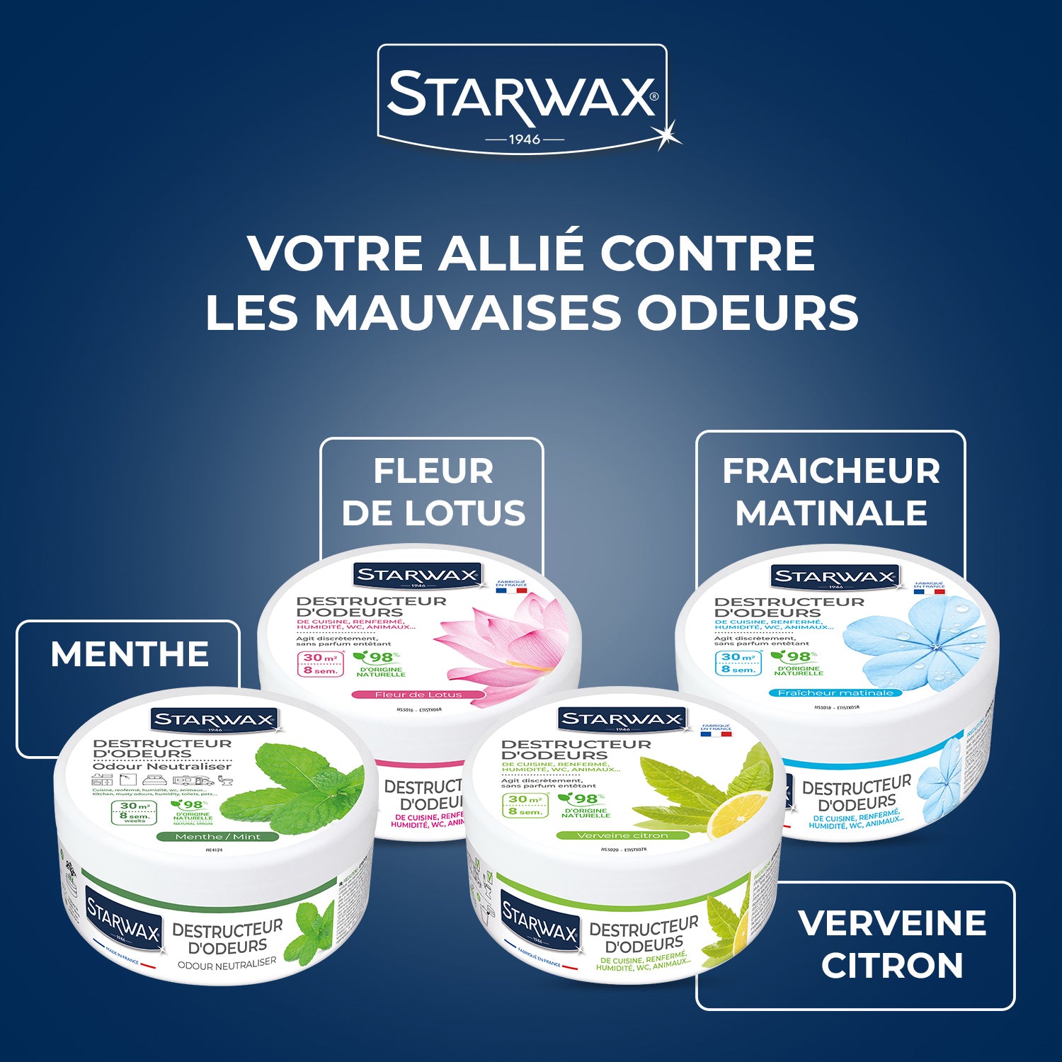 STARWAX - Destructeur d'odeurs Menthe 300g Parfum Menthe