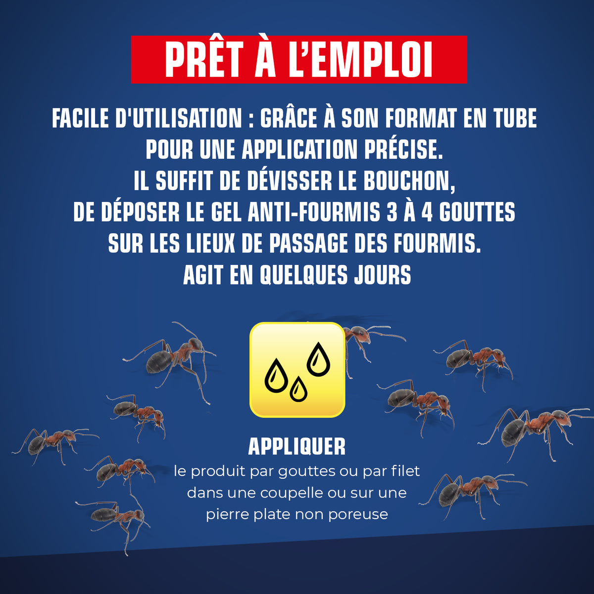 K.PRO - Tube fourmis 15g