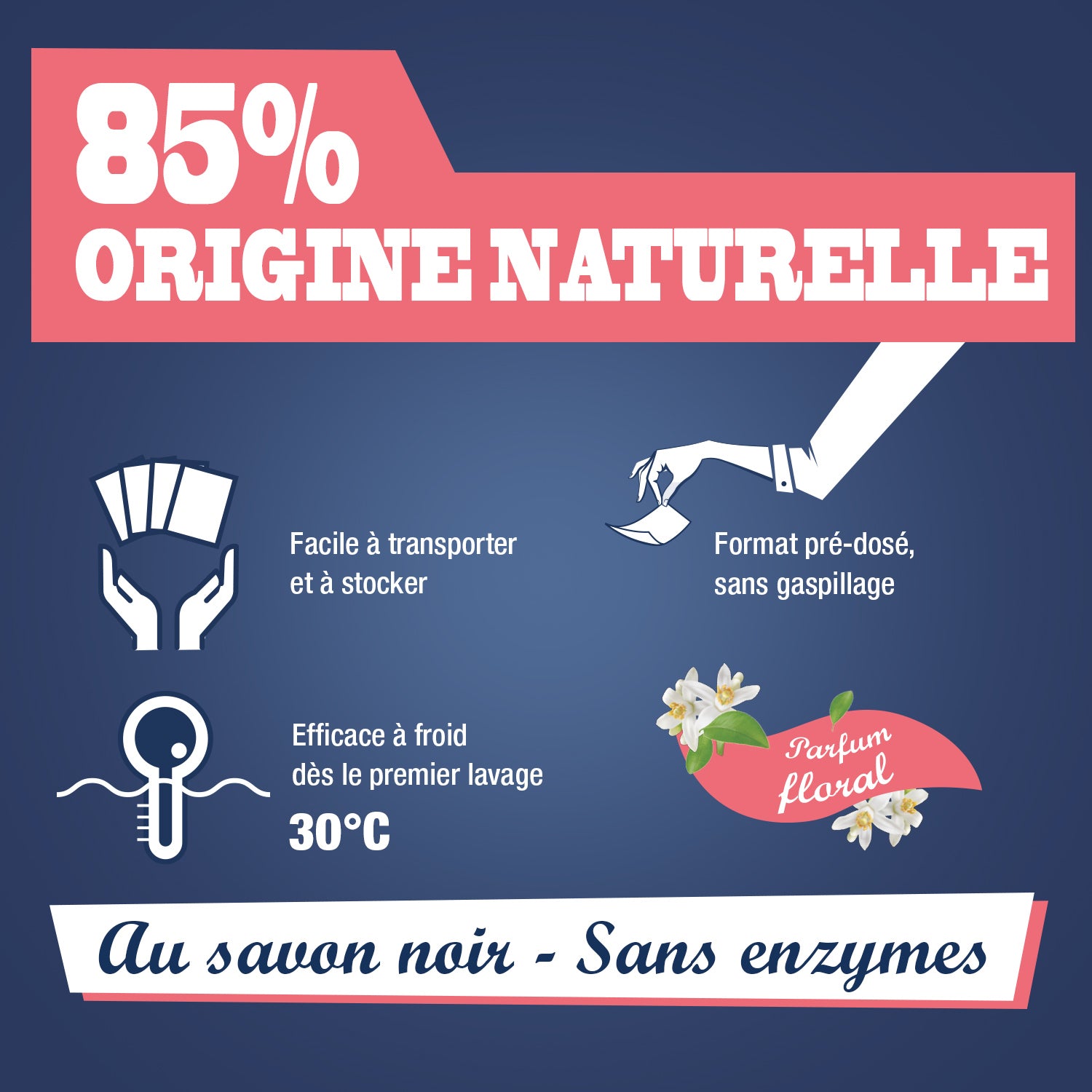 JACQUES BRIOCHIN - Feuilles de lessive au Savon noir parfum Bouquet floral 20 feuilles Parfum Bouquet floral