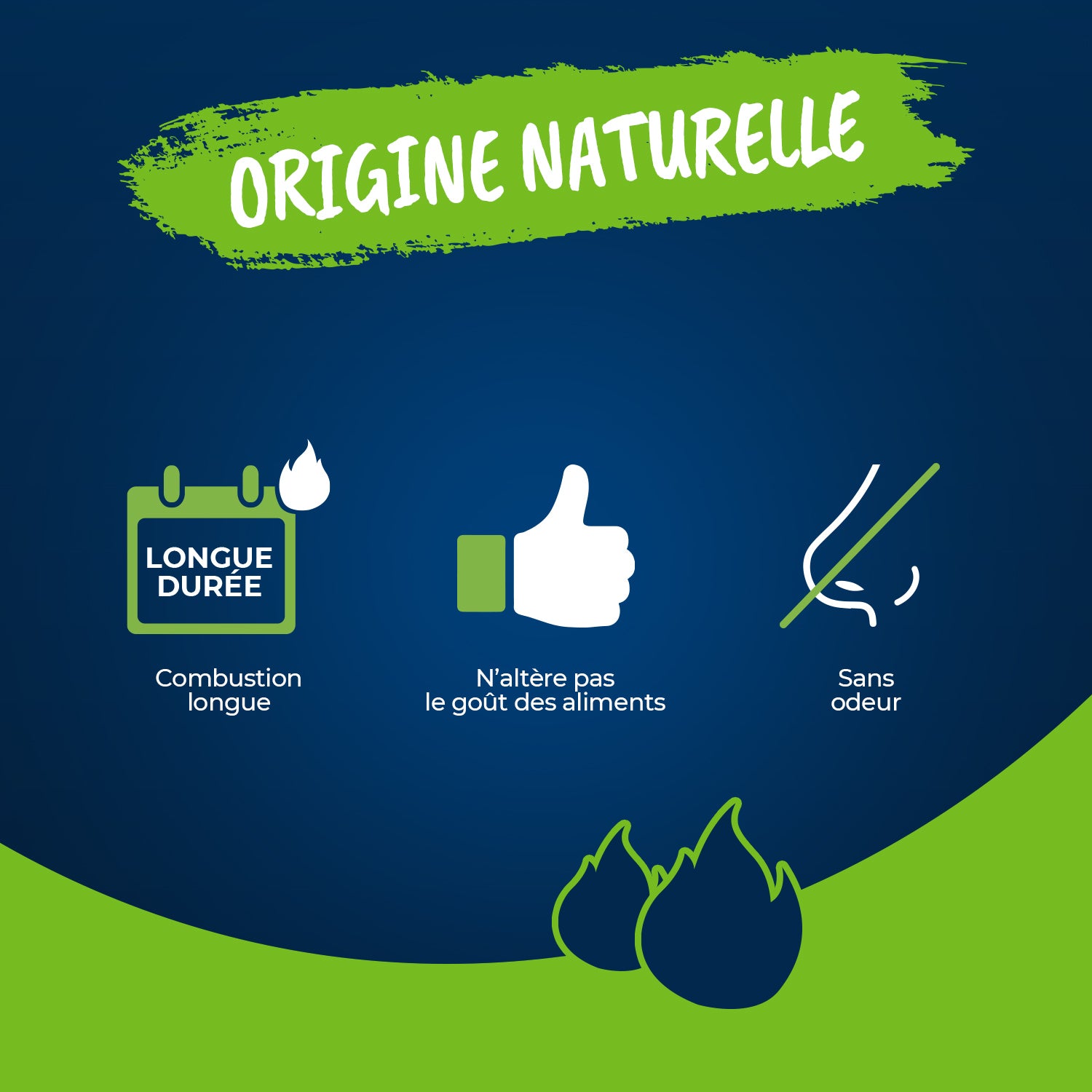 HARRIS - 40 cubes allume feu 100% végétal FSC® x40