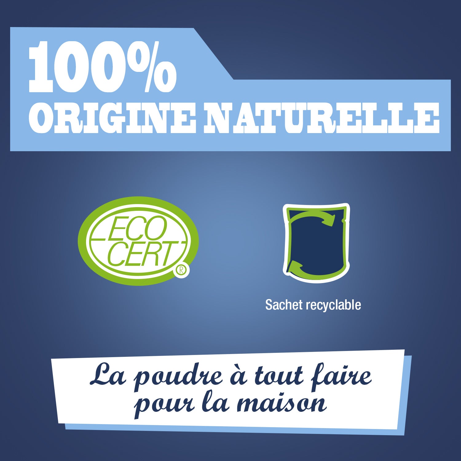 JACQUES BRIOCHIN - Le Bicarbonate de soude 500g