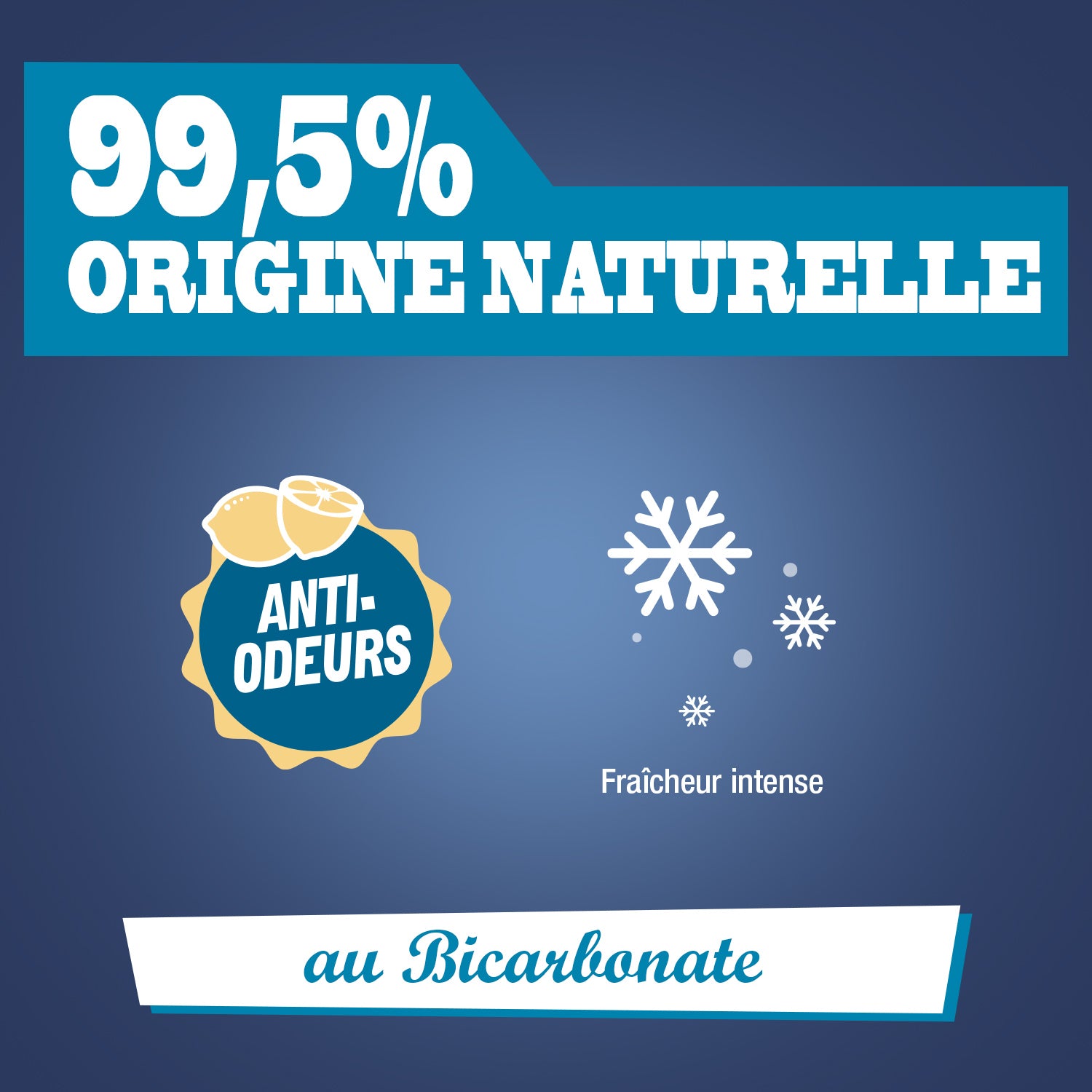 JACQUES BRIOCHIN - Désodorisant chaussures au bicarbonate 200ml Parfum citron