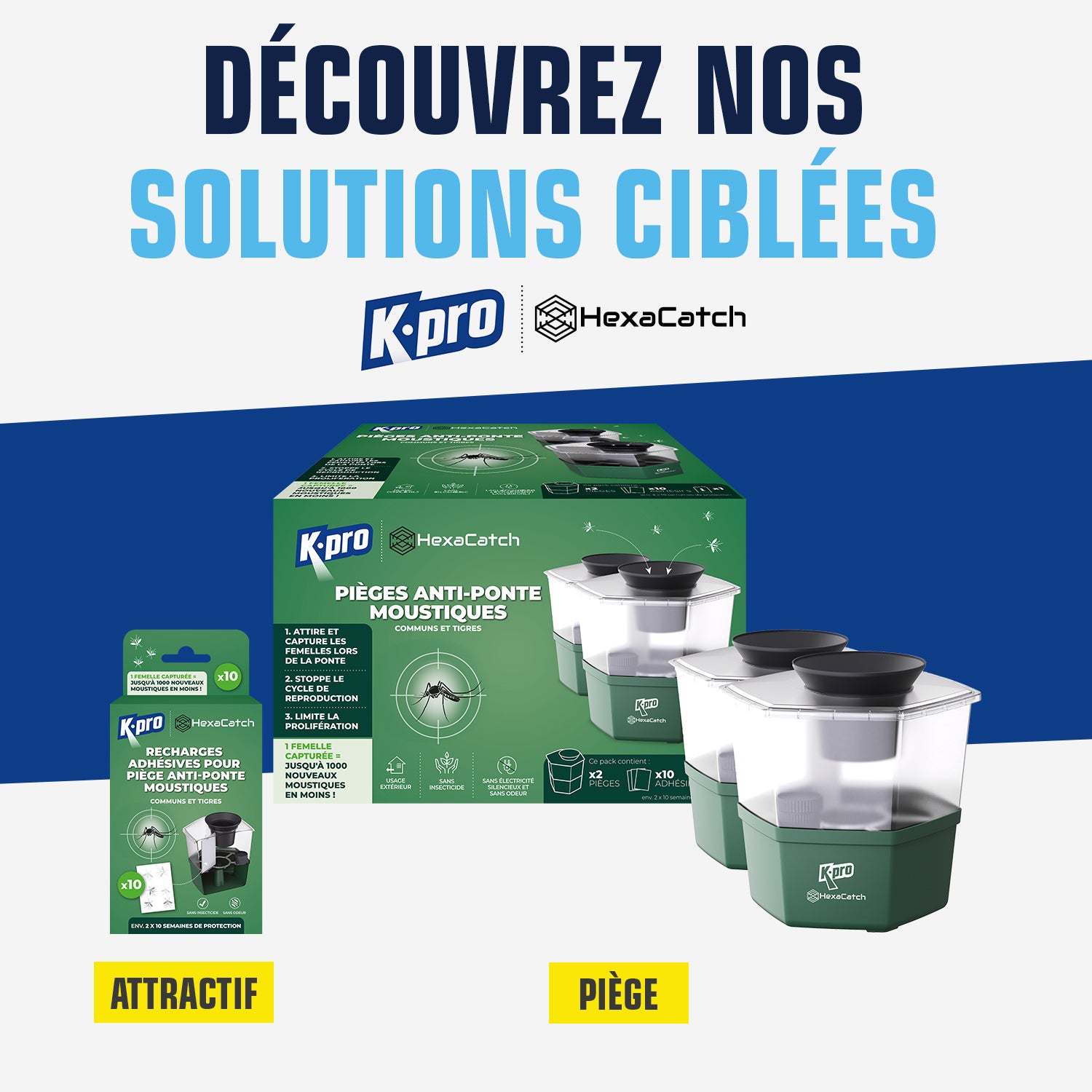 K.PRO - Pack de 10 recharges adhésives pour Pièges anti-ponte moustiques 10 adhésifs