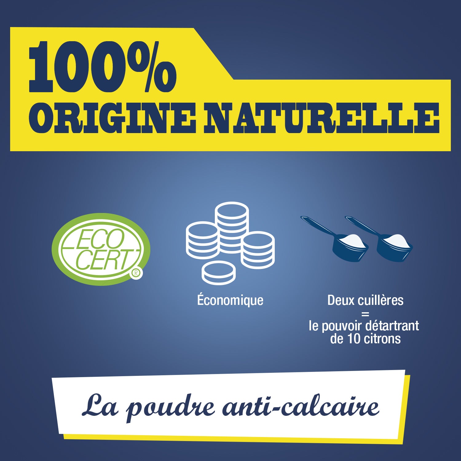 JACQUES BRIOCHIN - L'Acide Citrique grand format 900g