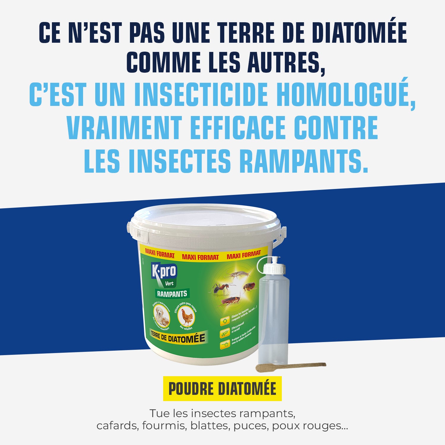 K.PRO - Terre de Diatomée Punaises de Lit avec flacon applicateur 1kg Maxi format