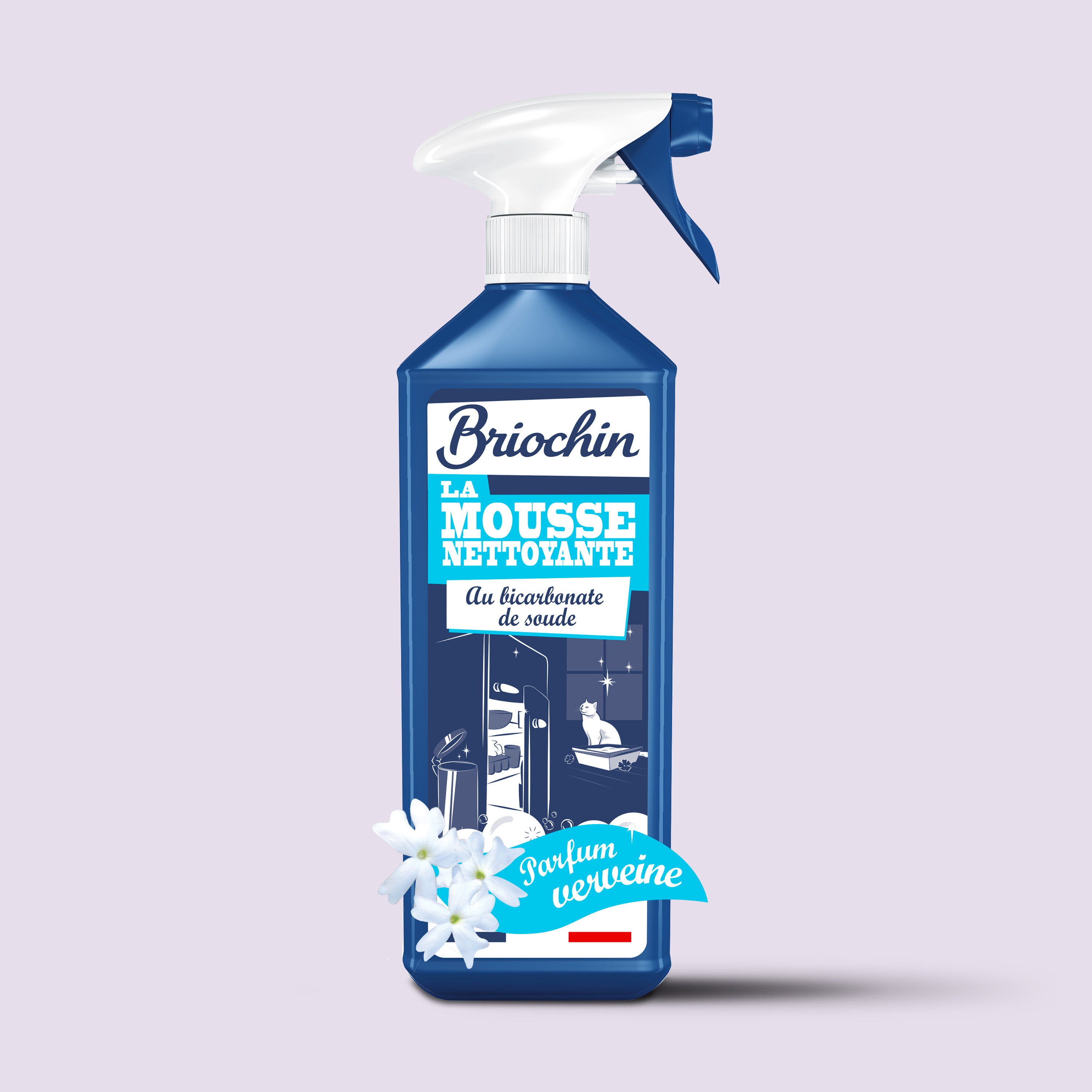 JACQUES BRIOCHIN - Mousse nettoyante au Bicarbonate de Soude - Parfum verveine 750ml Verveine