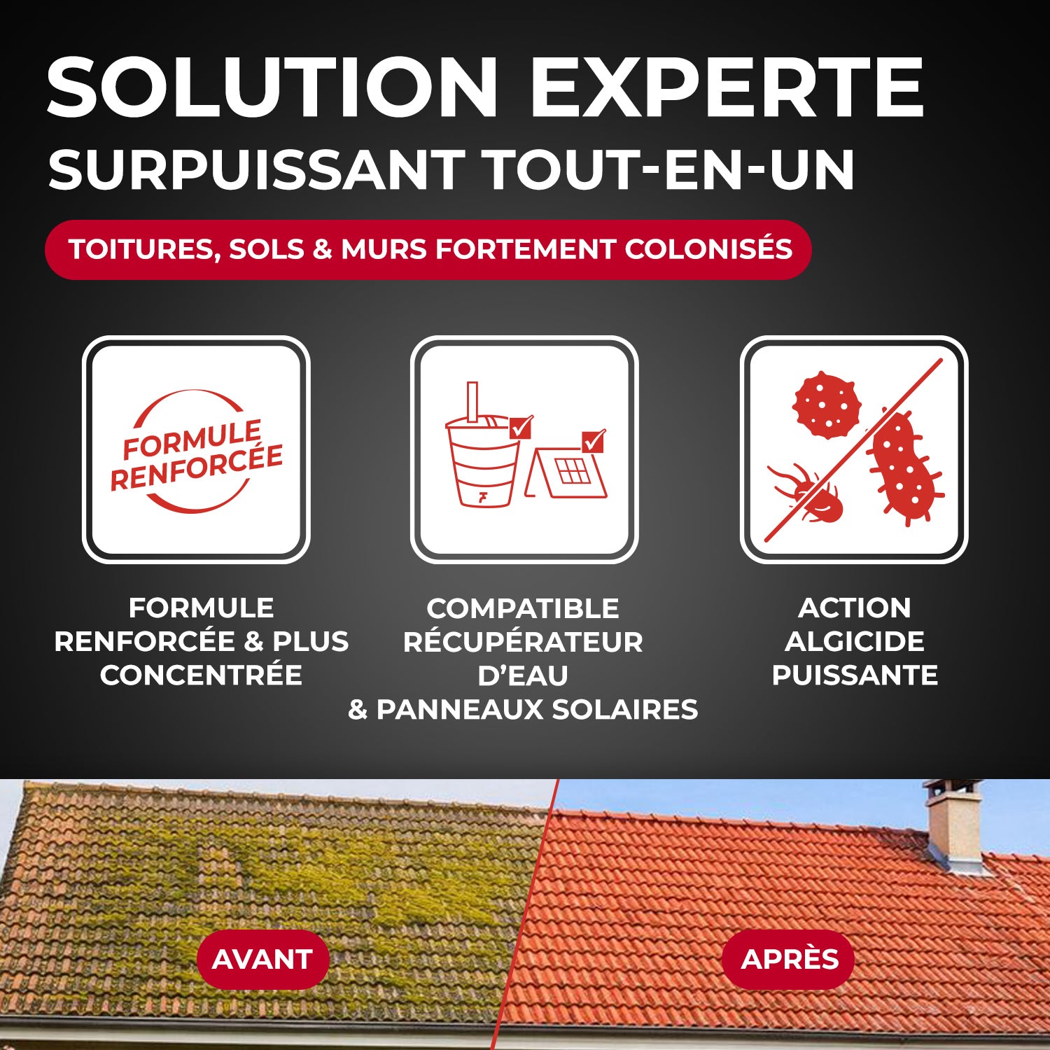 STARWAX - Destructeur de dépôts verts, rouges, lichens et traces noires prêt à l'emploi pour toitures, murs et sols extérieurs 1L