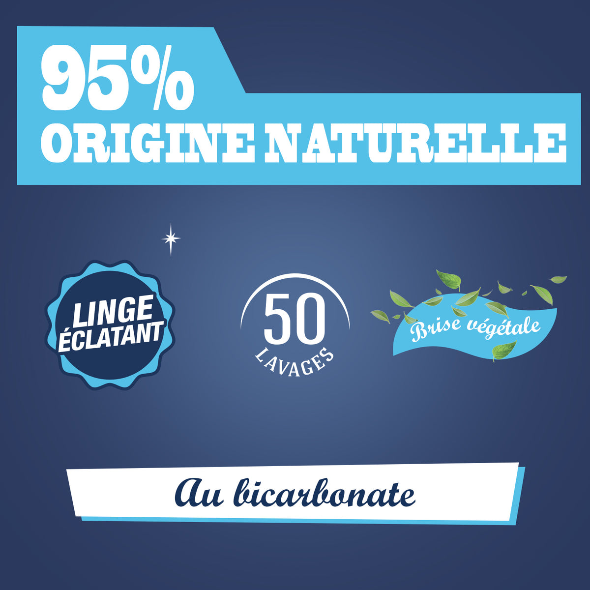 JACQUES BRIOCHIN - Ma Lessive au Bicarbonate – Brise Végétale 2,27l Brise Végétale
