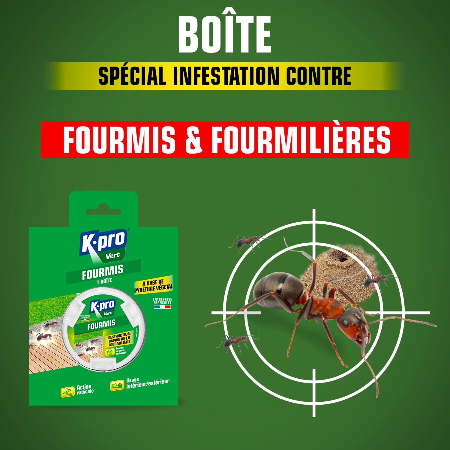 K.PRO - Boîte fourmis K.pro X1