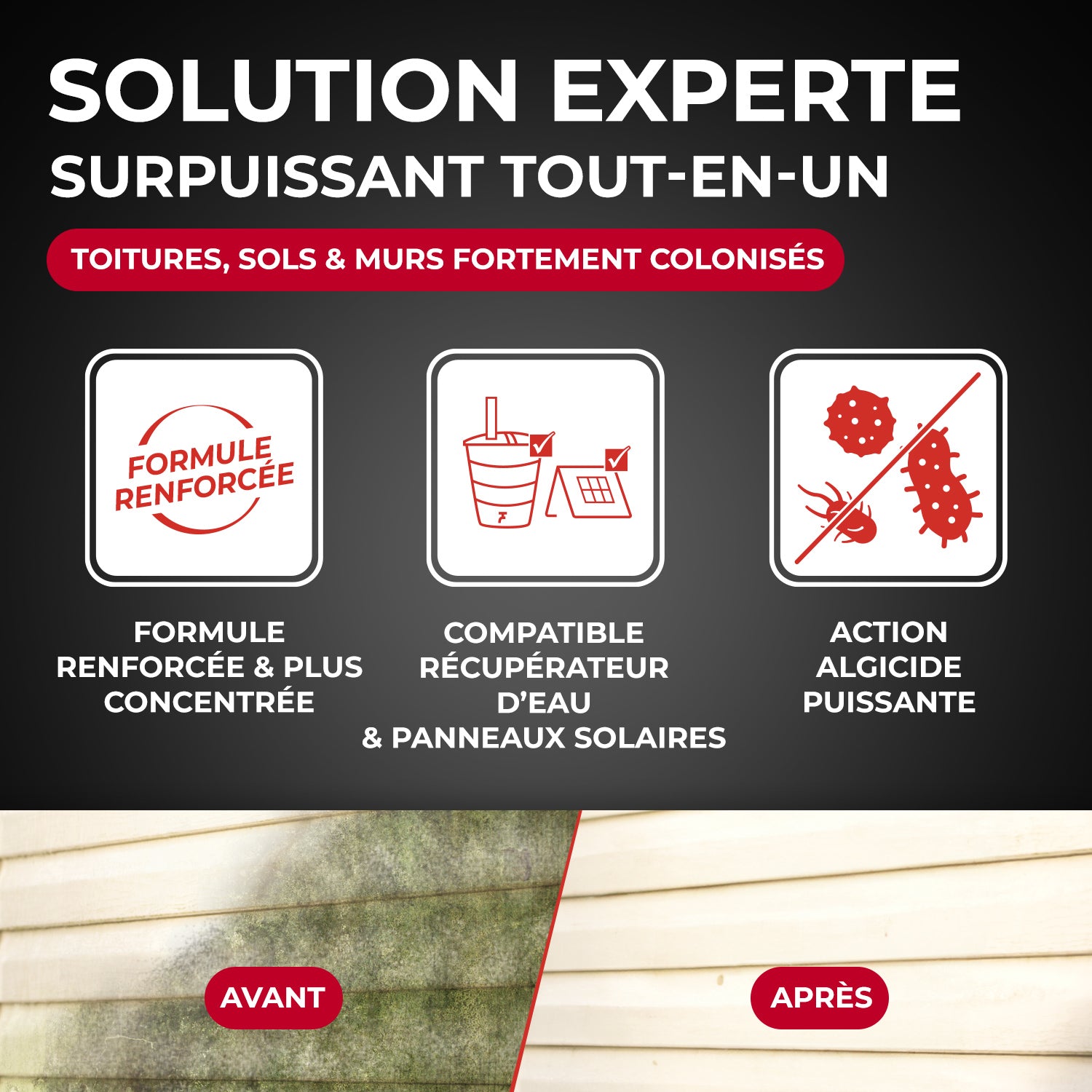 STARWAX - Destructeur de dépôts verts, rouges, lichens et traces noires prêt à l'emploi pour toitures, murs et sols extérieurs 1L