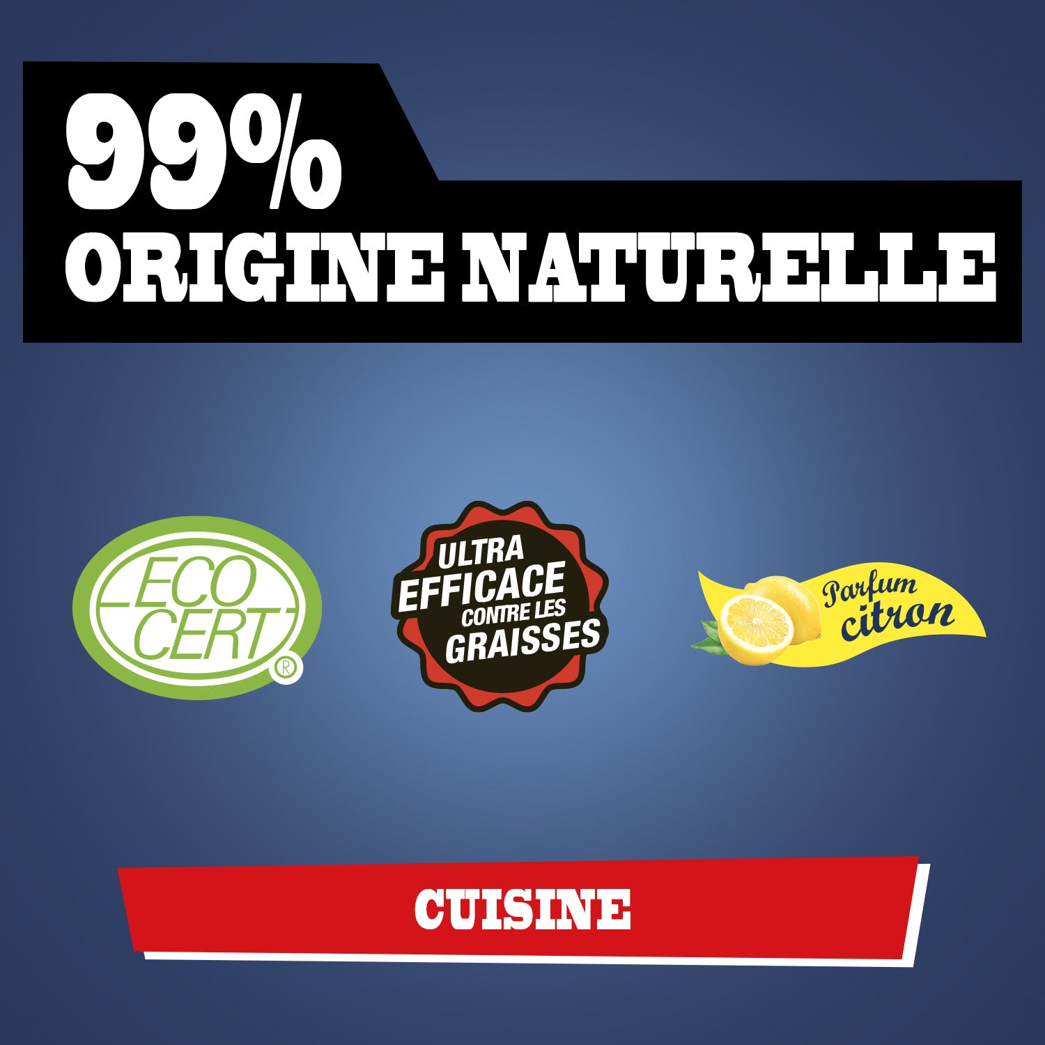 JACQUES BRIOCHIN - Super Décapant Cuisine 1L 1L