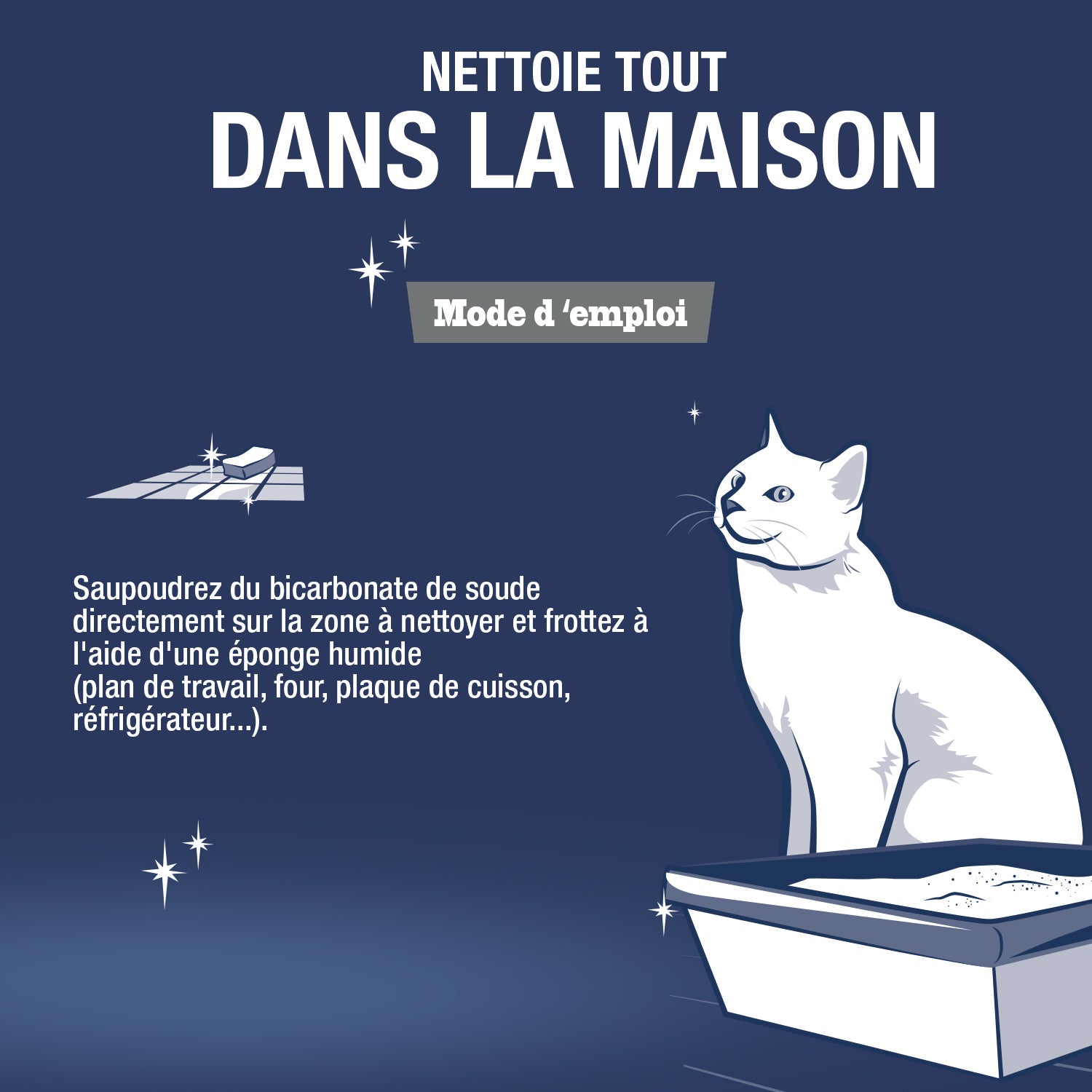 JACQUES BRIOCHIN - Le Bicarbonate de soude grand format - 900g 900g