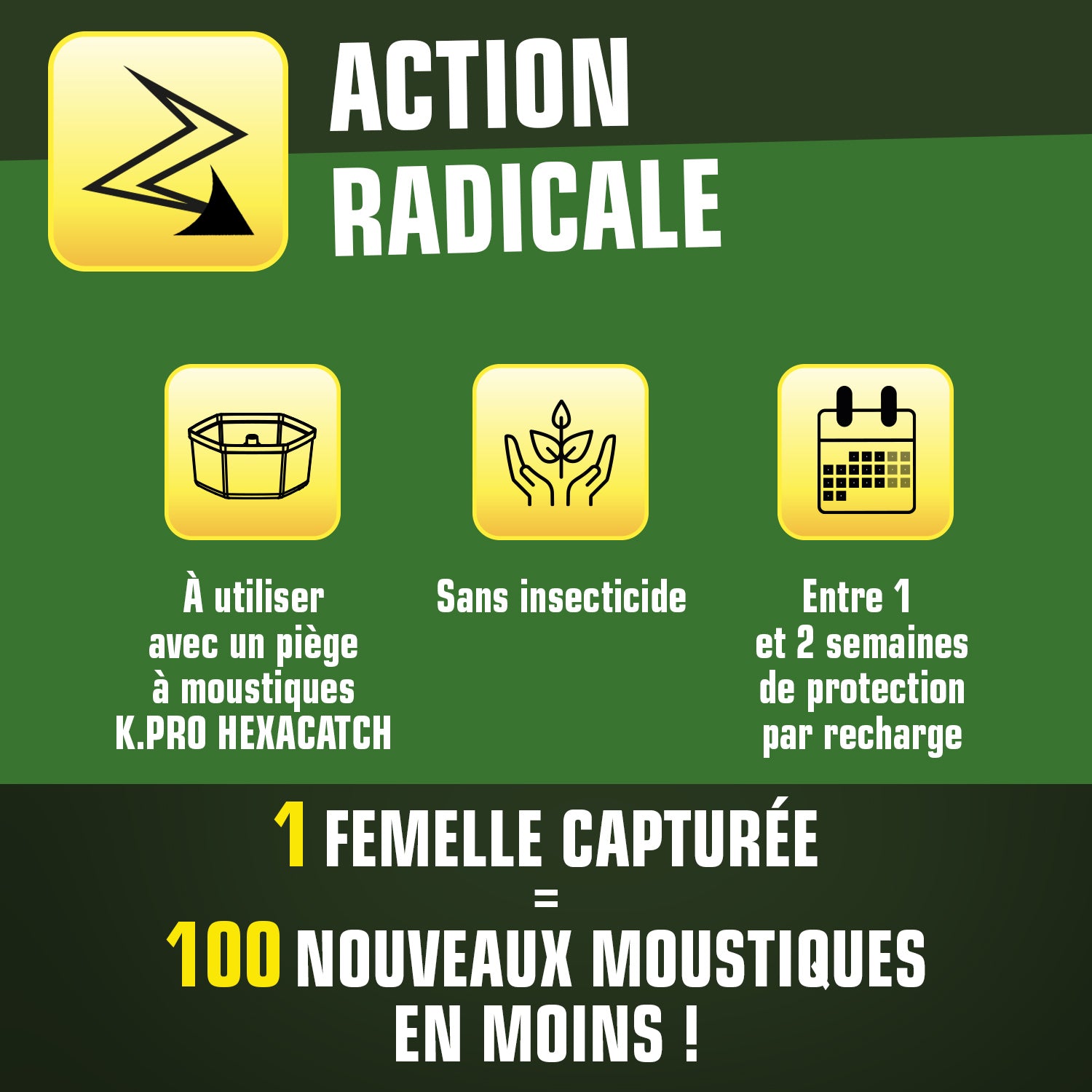 K.PRO - Pack de 10 recharges adhésives pour Pièges anti-ponte moustiques 10 adhésifs