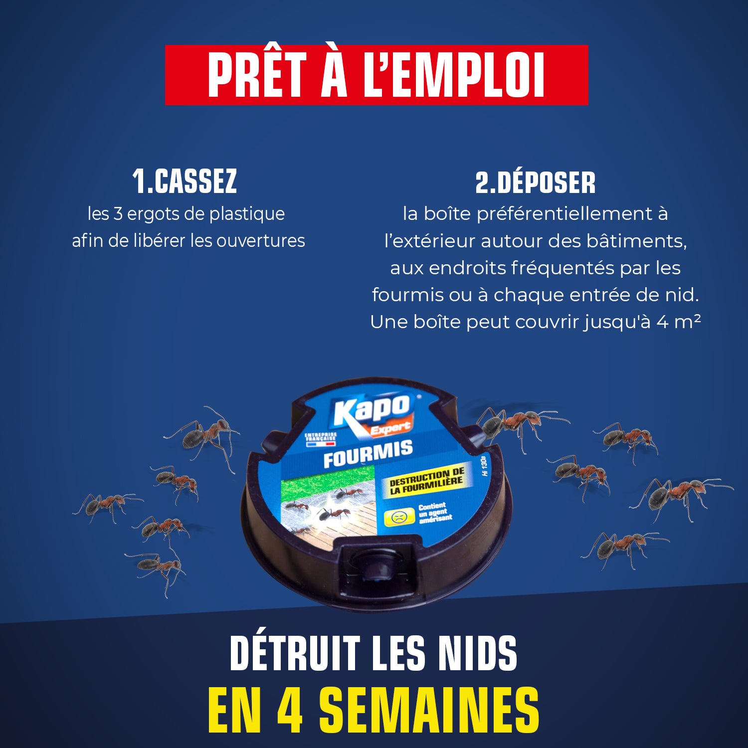 K.PRO - Boite fourmis X1