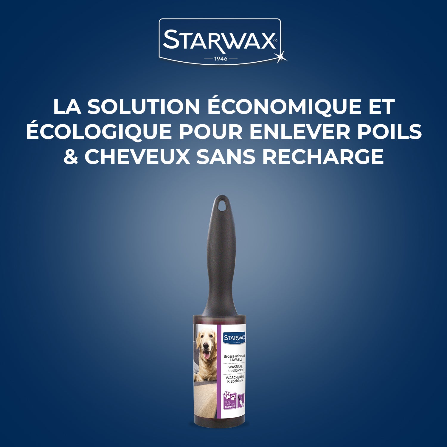 STARWAX - Brosse adhésive lavable X1