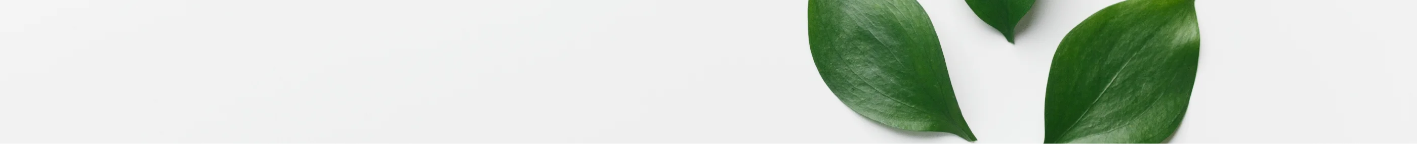 La maison engagée Starwax & Co - Sélection de produits naturels