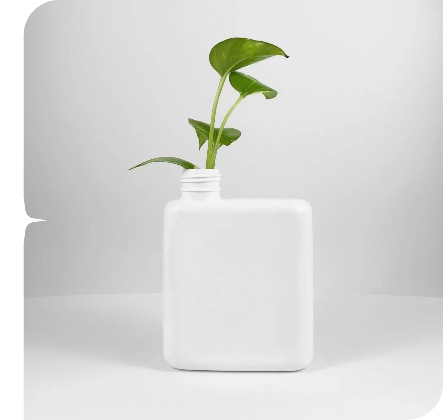 Les engagements Starwax & Co : Eco conception