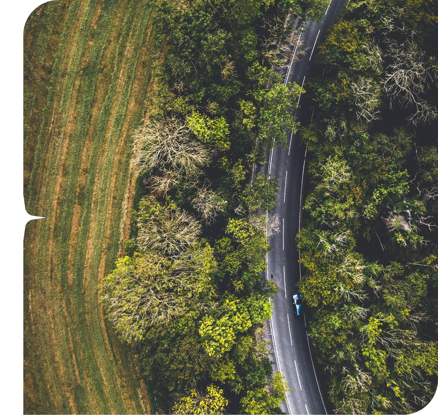 Les engagements Starwax & Co : Production locale