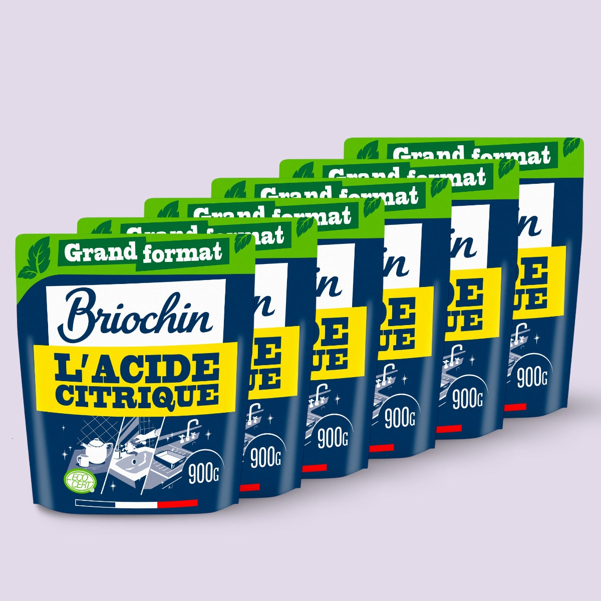 Lot de 6 Acide Citrique 900g