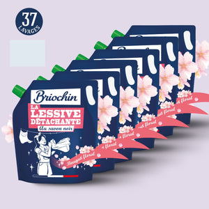 Lot de 6 recharges de lessives détachantes au savon noir